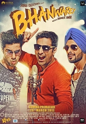 Bhanwarey 2017 Hindi Movie 720p DVDRip x264 [850MB] - Movierulz