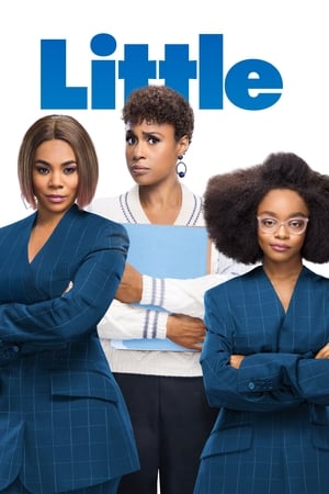 Little 2019 Hindi Dual Audio 480p BluRay 360MB - Movierulz